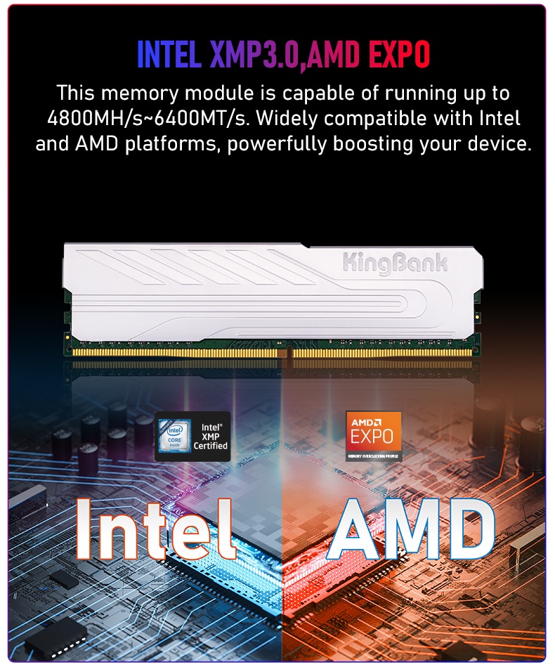 Kingbank KJXS DDR5 6000 Mhz