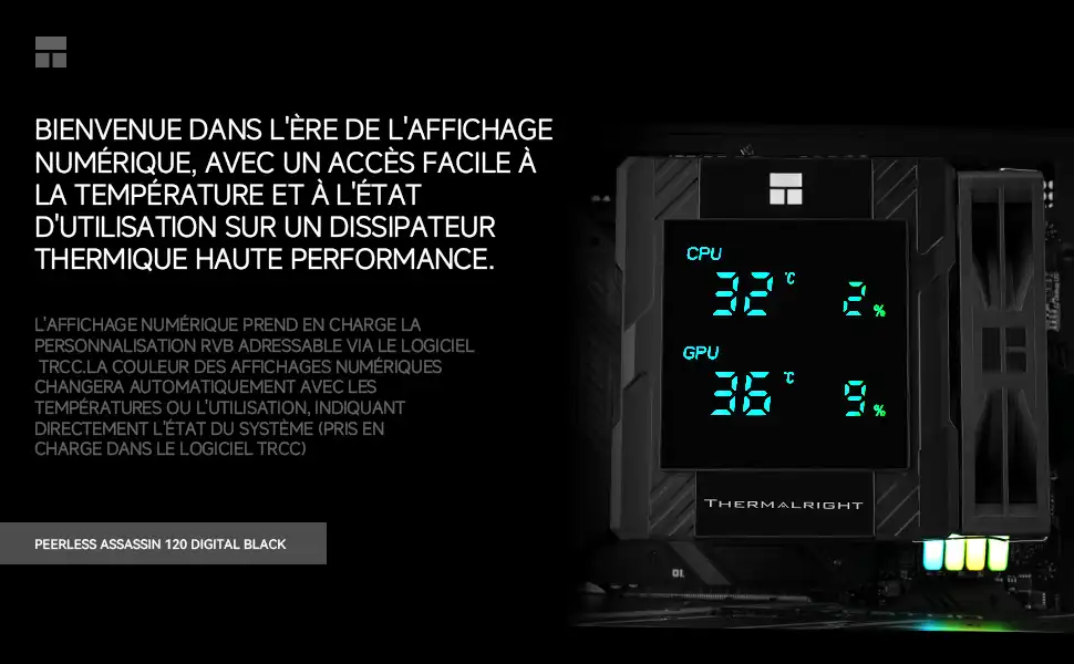 Peerless Assassin 120 Digital - Black