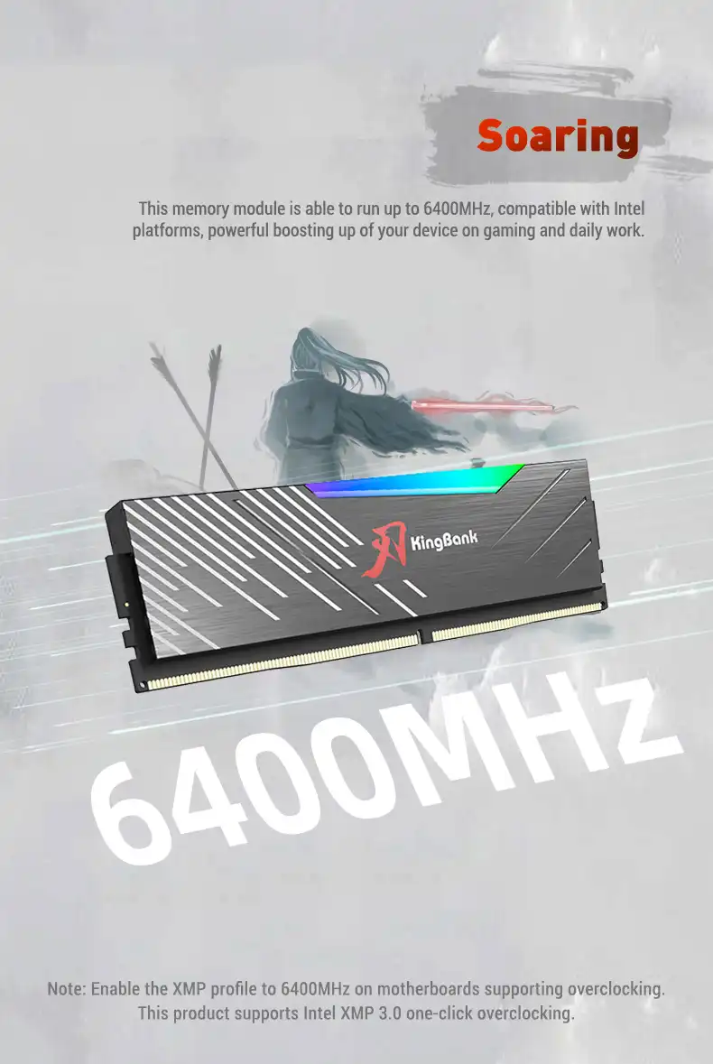 Kingbank KRRB DDR5 6400 Mhz