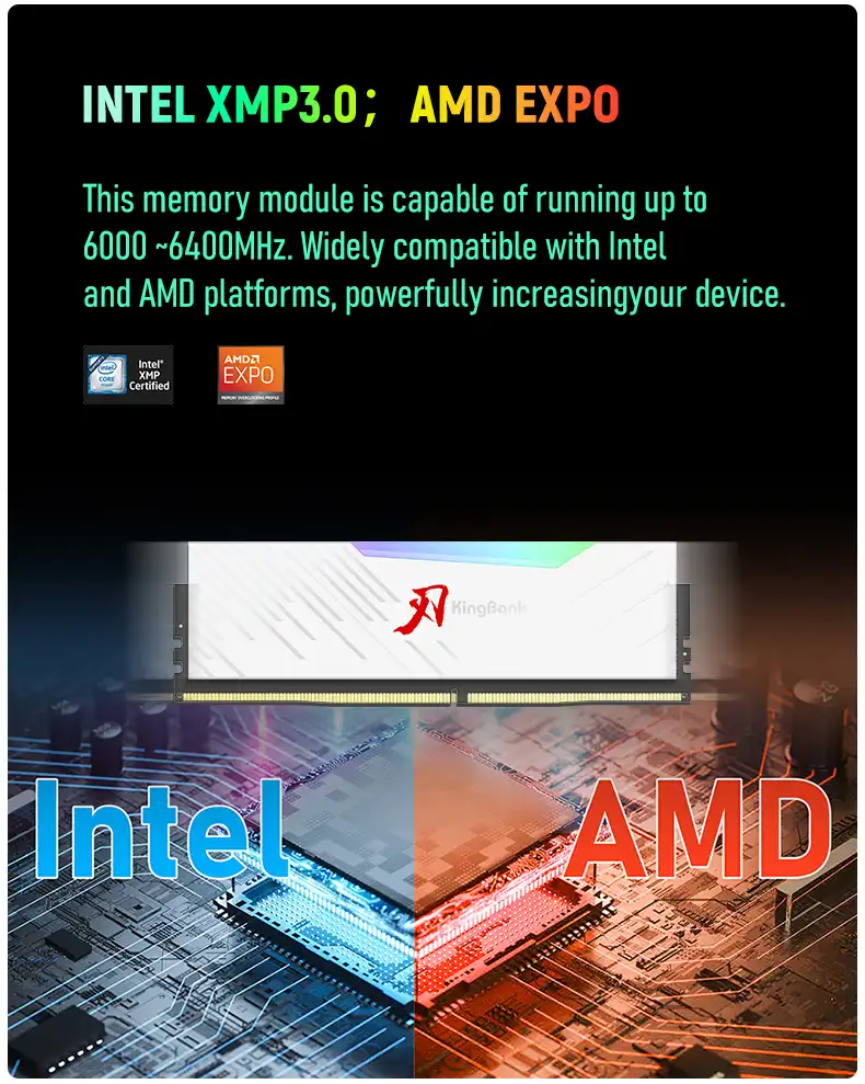 Kingbank KRRW DDR5 6000 Mhz