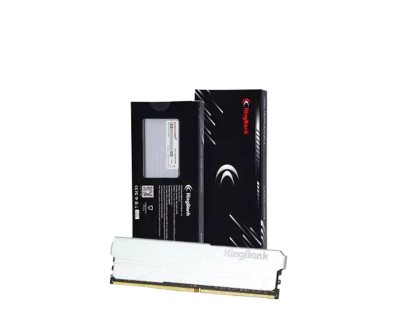 Kingbank KJXS DDR5 6000 Mhz