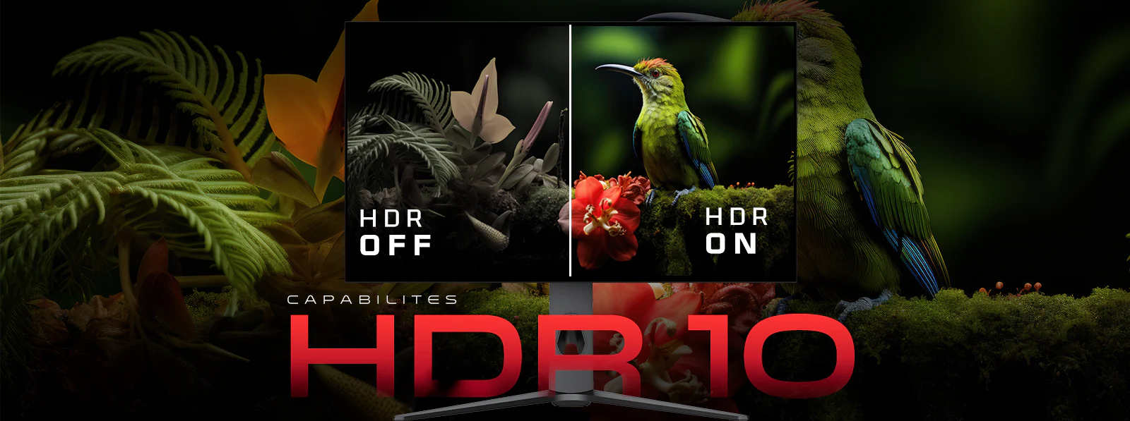 HDR On/Off - Feel the Difference